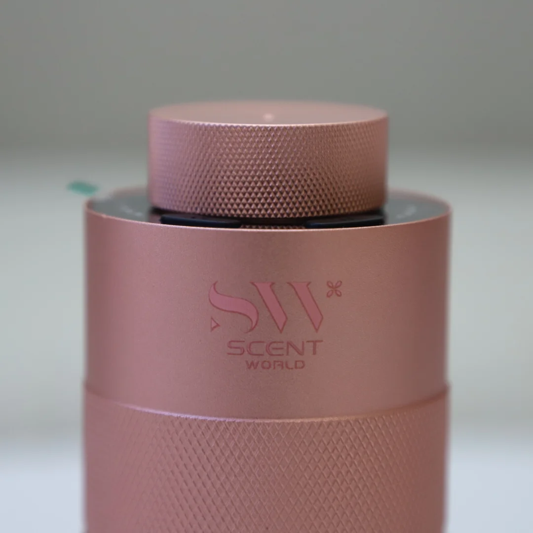 Car Scent Diffuser